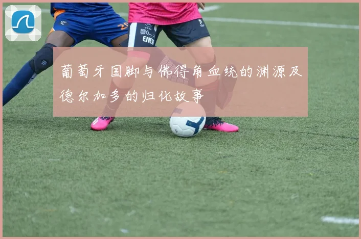 葡萄牙国脚与佛得角血统的渊源及德尔加多的归化故事